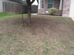 Leaf Removal by Teirance&Co Jackson for AnnaSarah D. in San Antonio, TX