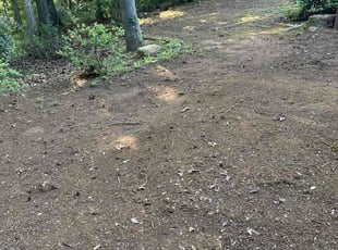 Leaf Removal by Samarrio Conney for Jarvis H. in Fayetteville, GA