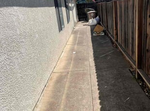 Leaf Removal by Ramon Mojica for Ms. H. in Elk Grove, CA