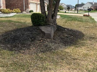 Bush Trimming by Brandon Fiala for Vivian B. in Saint Charles, MO