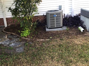 Leaf Removal by Chase Hatmaker for Matthew H. in Norfolk, VA