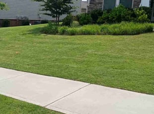 Kate B.'s Lawn Care service result