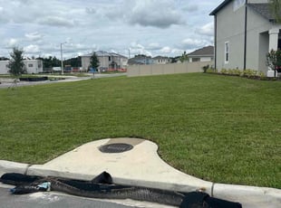 Raja A.'s Lawn Mowing service result