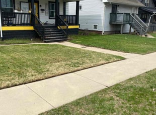 David D.'s Lawn Mowing service result