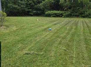 Lacey K.'s Lawn Care service result