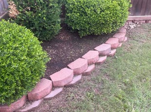 Weeding by Gabriel Piedra for Jana H. in Denton, TX