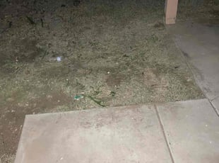 Cleanups by Anthany Eisweirth for Felicia T. in Peoria, AZ