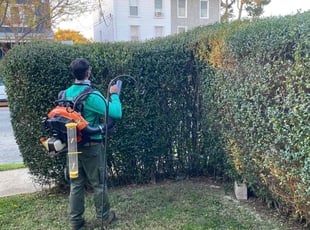 Bush Trimming by Norberto Soto for Jessica S. in Philadelphia, PA