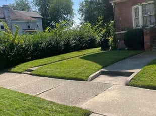 Gary M.'s Lawn Service service result