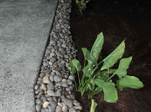 Weeding by Brian Fritts for Heaton D. in Bothell, WA