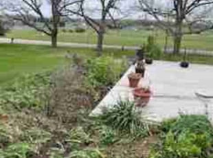 Leaf Removal by Damin Soto for Holly P. in Eaton Rapids, MI