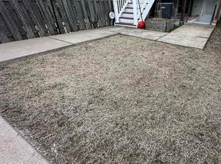 Weeding by Edgar Elmore for Laura T. in Washington, DC