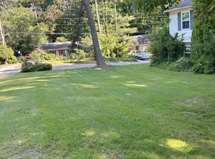 Nancy I.'s Grass Cutting service result
