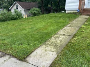 Reji S.'s Yard Cutting service result