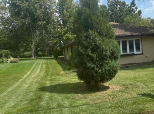 Melisa V.'s Lawn Mowing service result