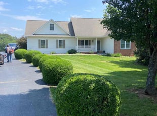 Teresa R.'s Bush Trimming service result