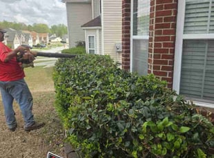 Bush Trimming by David Clark for Jerry R. in Fairburn, GA
