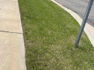 Brian C.'s Lawn Service service result