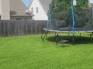Jared S.'s Lawn Mowing Service service result