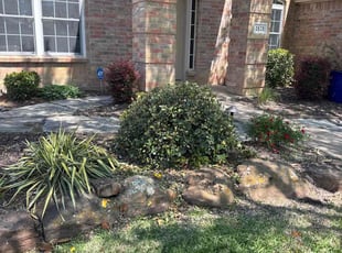 Bush Trimming by Brennen Dikes for Cesar C. in Mansfield, TX