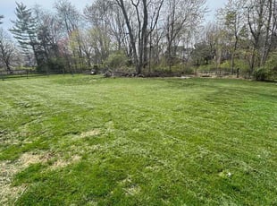 James P.'s Yard Cutting service result