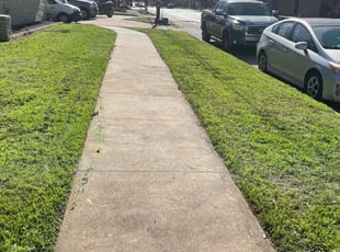 Freda P.'s Lawn Mowing service result