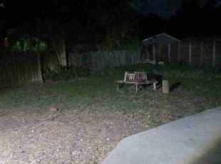 Leaf Removal by Ruben Anguiano for Chris W. in Corpus Christi, TX