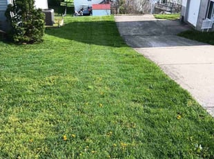 Leah I.'s Lawn Care service result