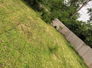 Weeding by Steven Baker for Elizabeth I. in Indianapolis, IN