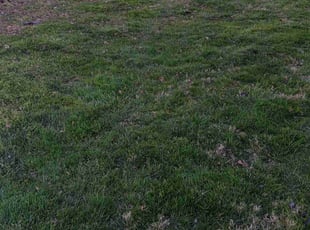 Cleanups by Jose Murcia for Maurice S. in Manassas, VA