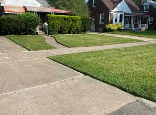 JENNIFER D.'s Lawn Service service result