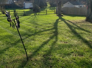 Leaf Removal by Brett Cameron for Dale J. in Richmond, VA