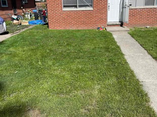 Leaf Removal by Josef Lakkis for Ana B. in Taylor, MI