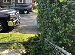 Bush Trimming by Amber Fuentes for Junius S. in Washington, DC