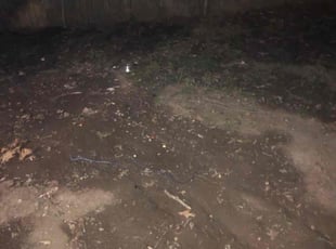 Cleanups by Chris King for Ashley S. in Kansas City, MO