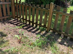 Weeding by Dashawn Willis for Joe M. in Hilliard, OH
