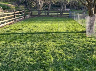 Marji G.'s Grass Cutting service result