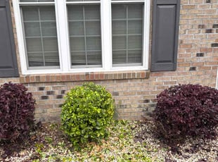 Bush Trimming by Shawn Palmer for John O. in Jacksonville, NC