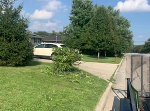 Bush Trimming by B.J. Schuetz for John M. in Columbus, OH
