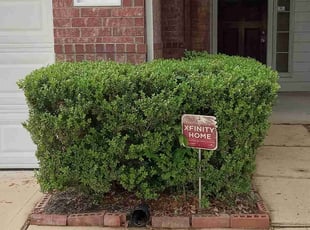 Bush Trimming by Carina Perez for Yolanda B. in Cypress, TX