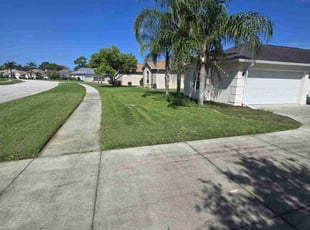 Manith A.'s Grass Cutting service result