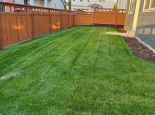 Susan K.'s Yard Cutting service result