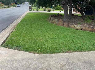 Sandy P.'s Lawn Service service result