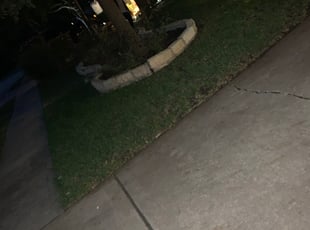 Cleanups by Daniel Rios for Wunna A. in Manor, TX