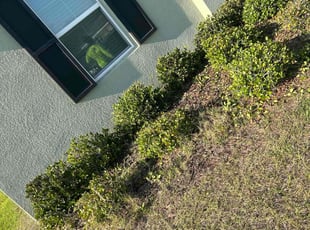 Bush Trimming by Hanif Ibn King for Angela L. in Zephyrhills, FL