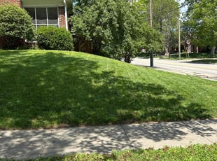 Gerald M.'s Lawn Mowing Service service result