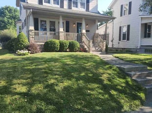 Michael M.'s Lawn Care service result