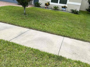 Albert C.'s Lawn Care service result