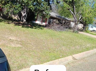 Andrea I.'s Lawn Mowing service result