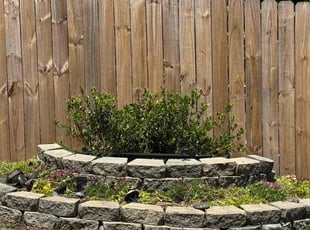 Weeding by Aric Finney for Shannon N. in Fort Mill, SC